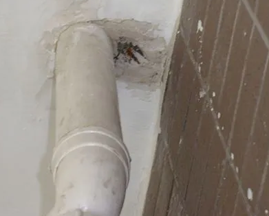 桂阳漏水检测哪家好